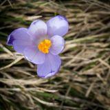 20150509-AJ015675.jpg